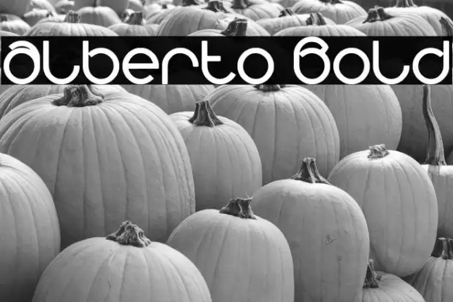 alberto Bold Font examples
