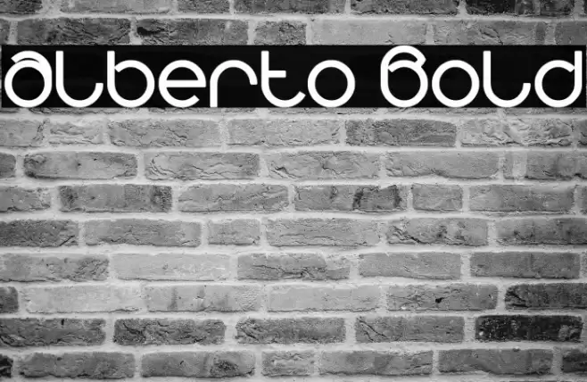alberto Bold Font examples