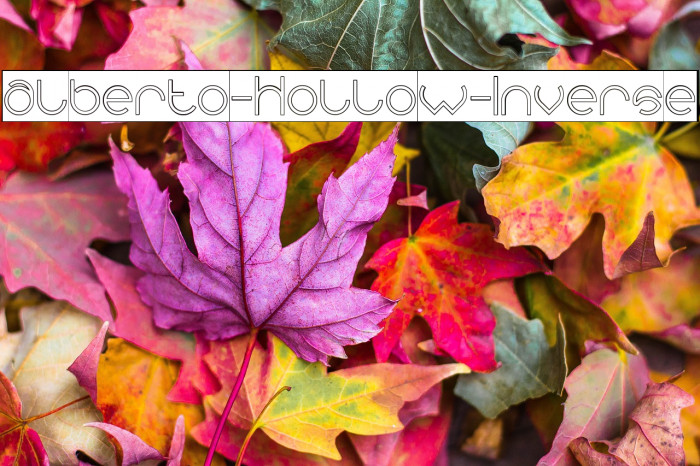 alberto-Hollow-Inverse Example 2