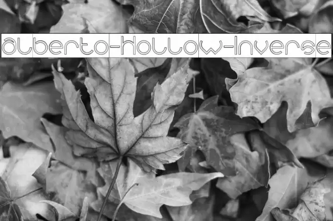 alberto-Hollow-Inverse Font examples