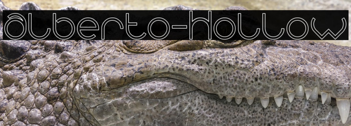 alberto-Hollow Example 1