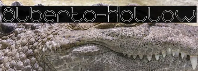 alberto-Hollow Example 1