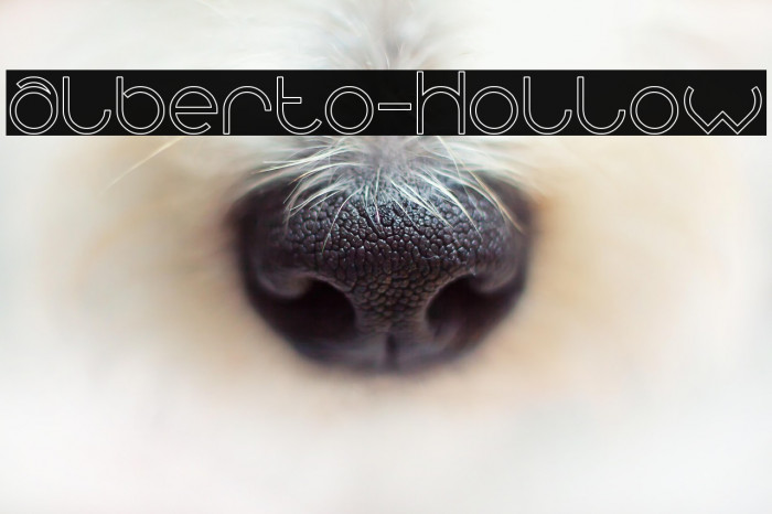 alberto-Hollow Example 3