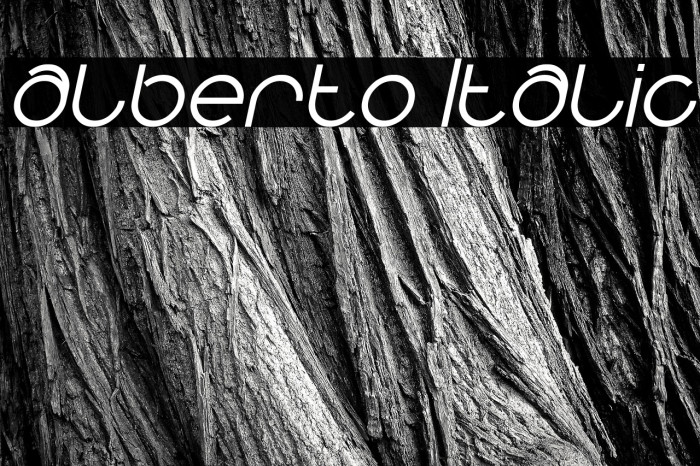 alberto Italic Example 1