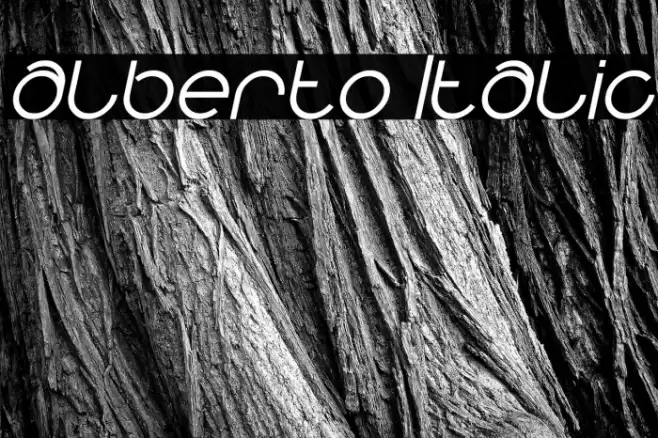 alberto Italic Font examples