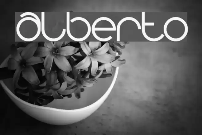 alberto Font examples