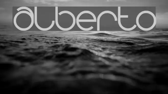 alberto Font examples