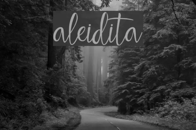 aleidita Font examples