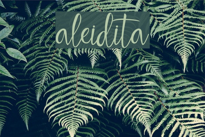 aleidita Example 3