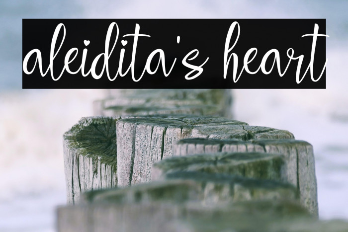 aleidita's heart Example 2