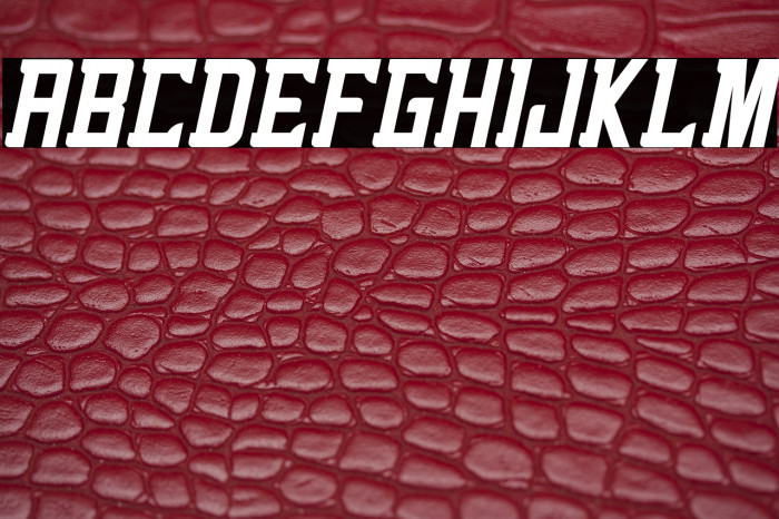 alenikh Italic Example 3