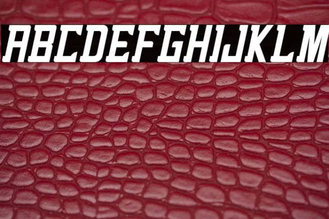 alenikh Italic Example 3