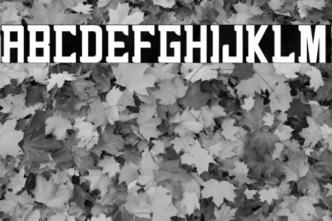 alenikh Font examples