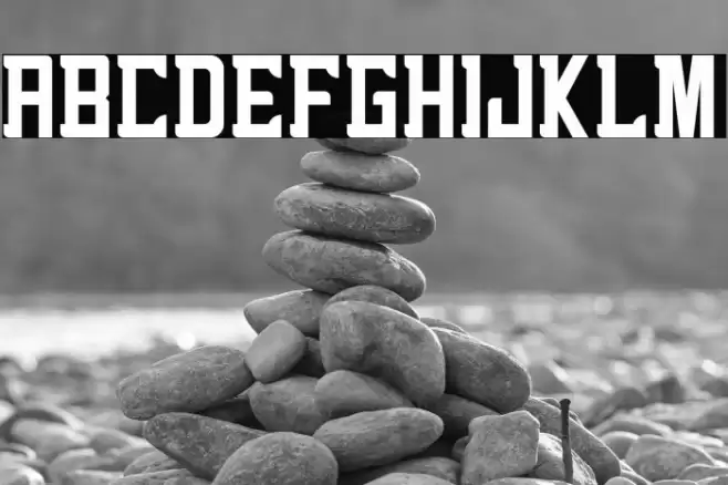 alenikh Font examples