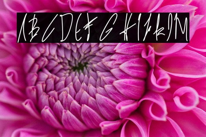 alexandria ann Example 1