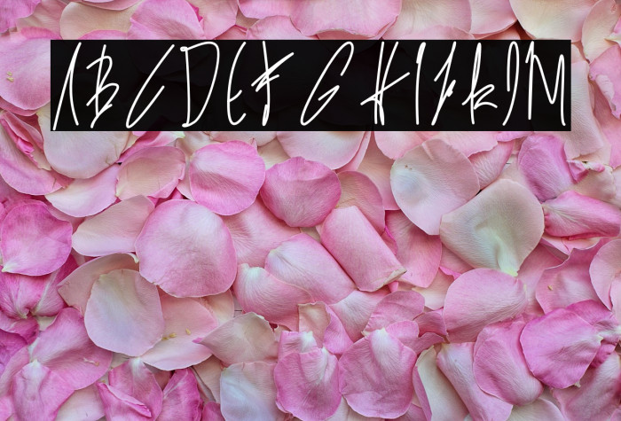 alexandria ann Example 2