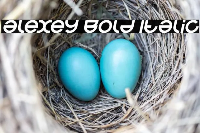 alexey Bold Italic Example 3
