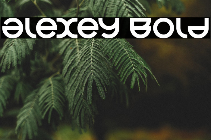 alexey Bold Example 3