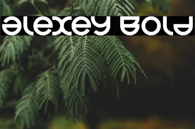 alexey Bold Example 3