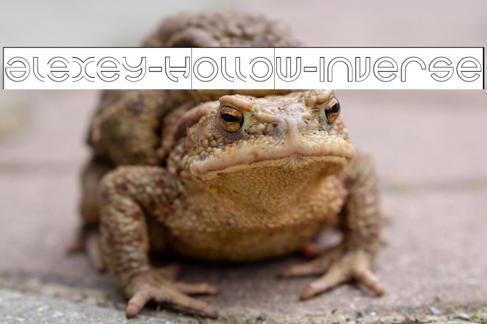 alexey-Hollow-Inverse Example 2