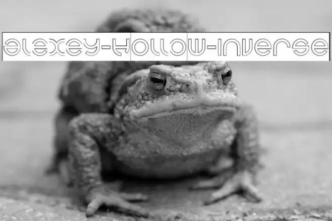 alexey-Hollow-Inverse Font examples