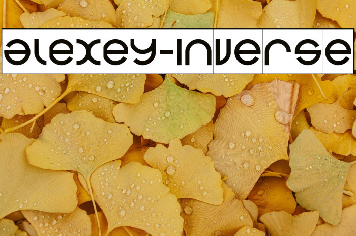 alexey-Inverse Example 2