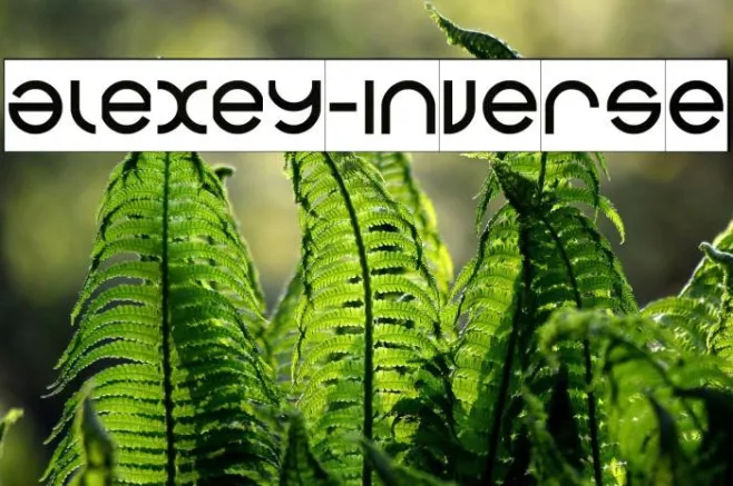 alexey-Inverse Example 3