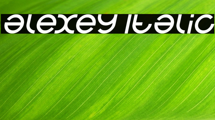 alexey Italic Example 3