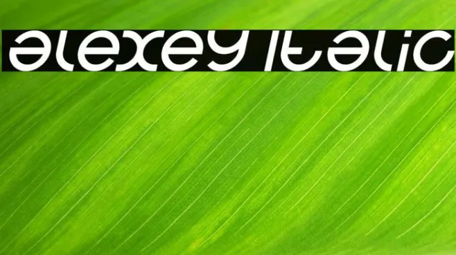 alexey Italic Example 3