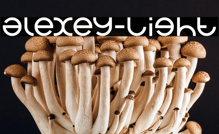 alexey-Light Example 1