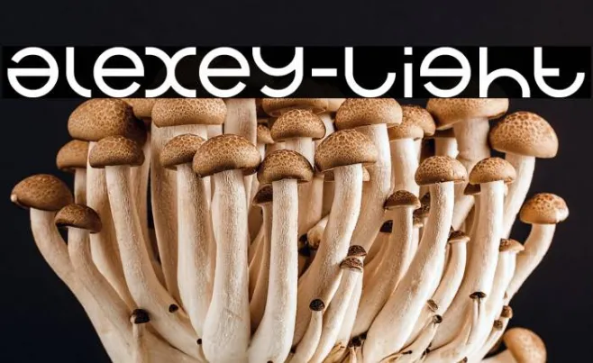 alexey-Light Example 1