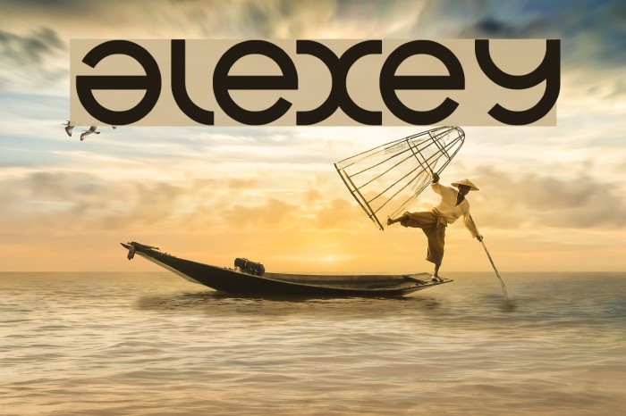 alexey Font examples