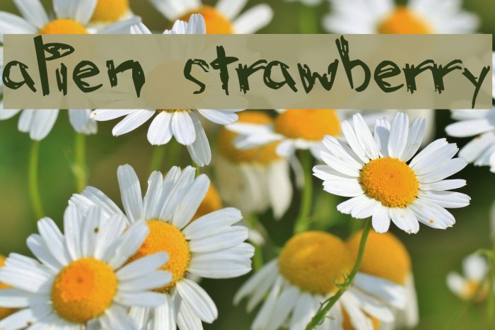 alien strawberry Font examples