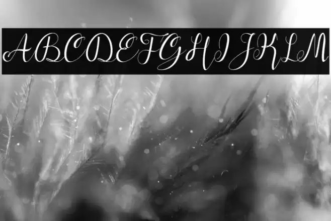 alif-script Font examples