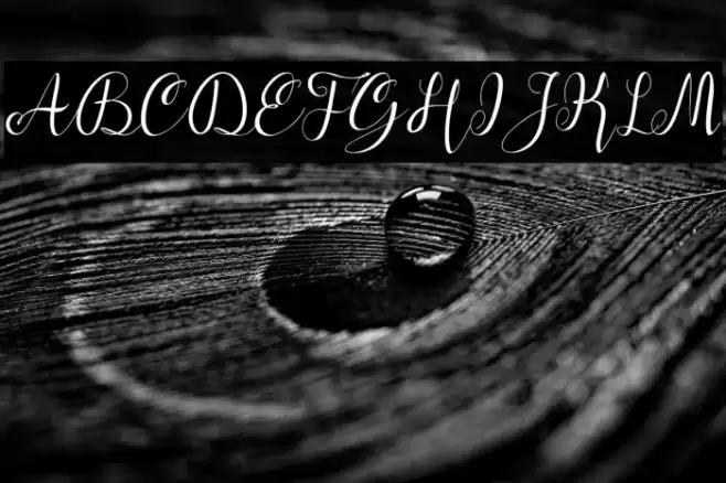 alif-script Font examples