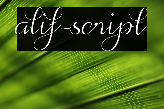 alif-script Example 2