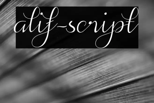 alif-script Font examples