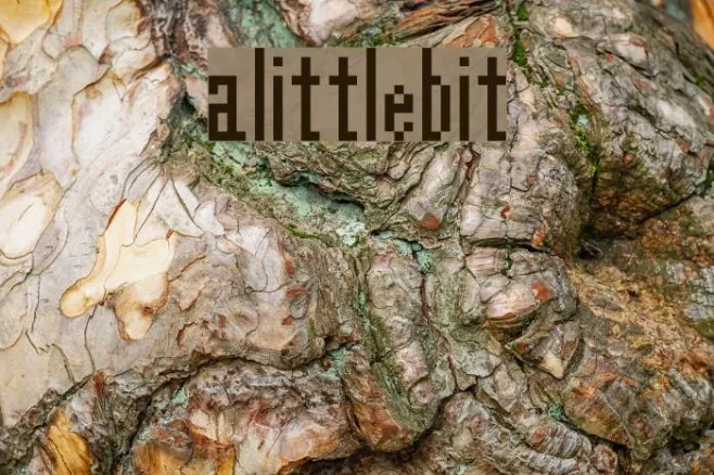 alittlebit Example 1