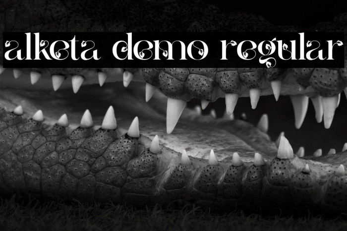 alketa demo regular Example 1