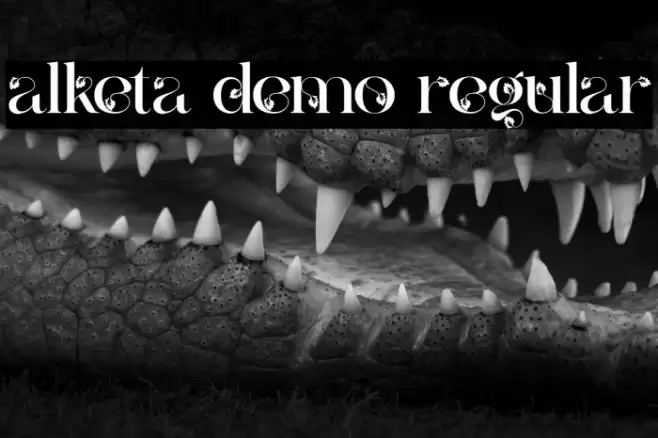 alketa demo regular Font examples