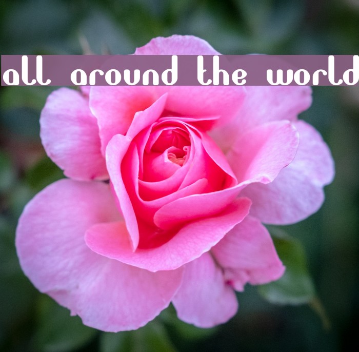 all around the world Font examples