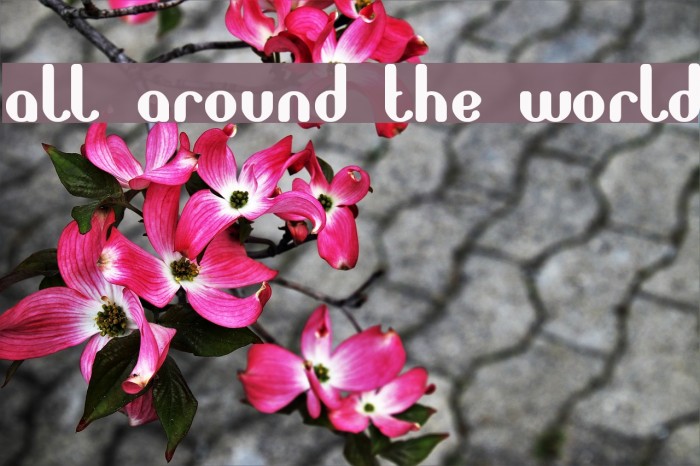 all around the world Font examples