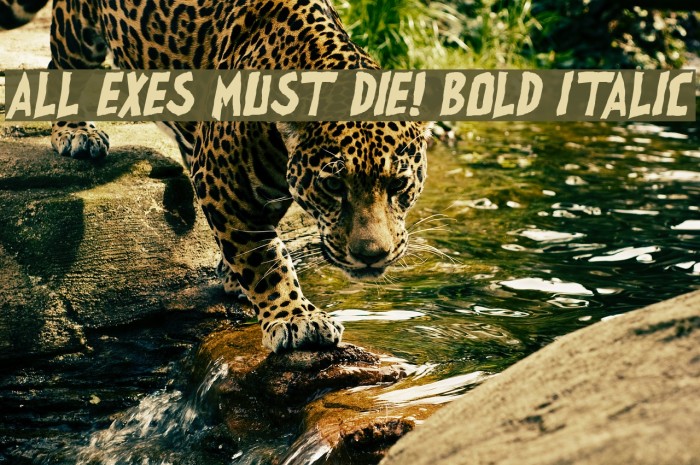 all exes must die! Bold Italic Font examples