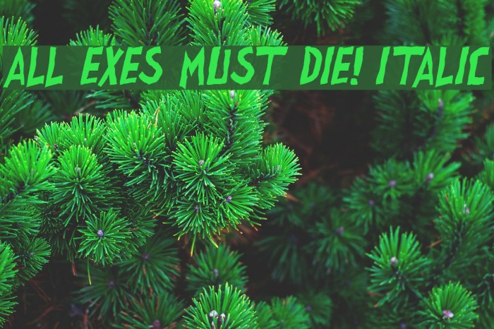 all exes must die! Italic Font examples