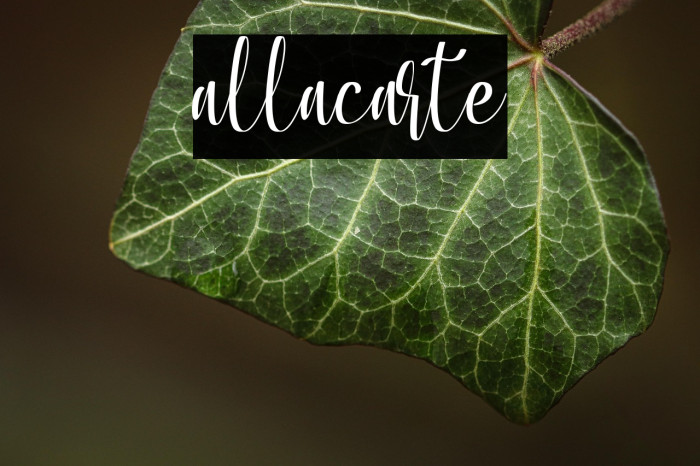 allacarte Example 3