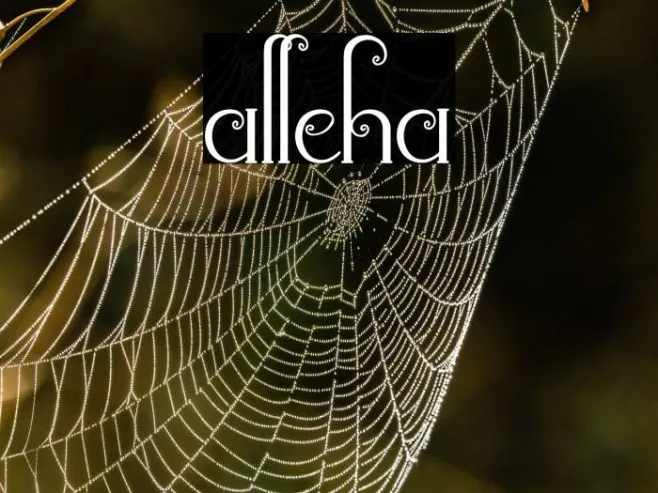 alleha Example 1