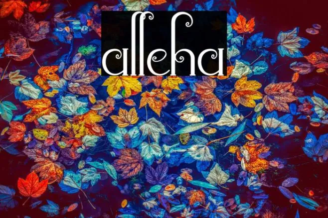 alleha Example 2