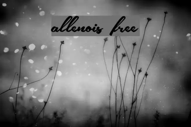 allenois free Font examples