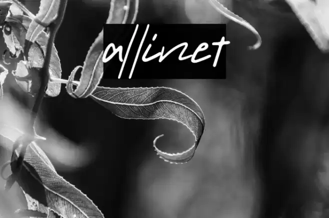 allinet Шрифта examples