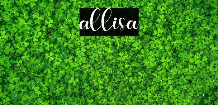 allisa Example 2